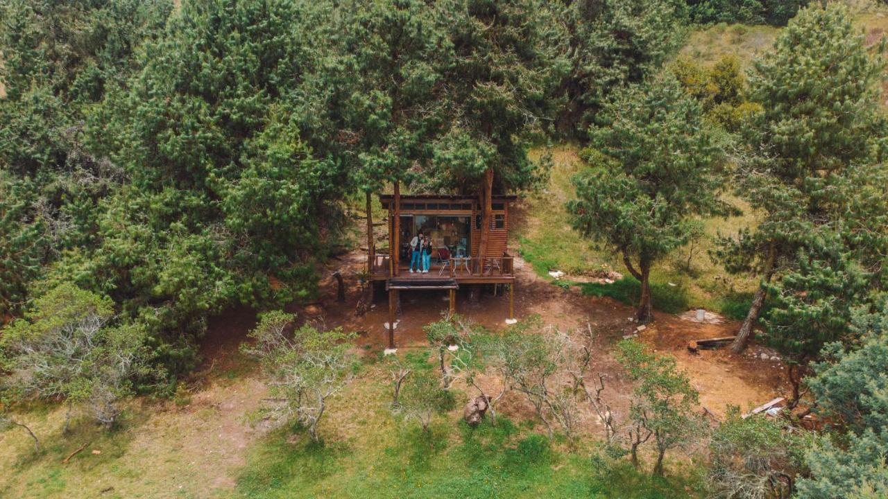 Alma De Campo Glamping - Laguna De Suesca Exterior foto