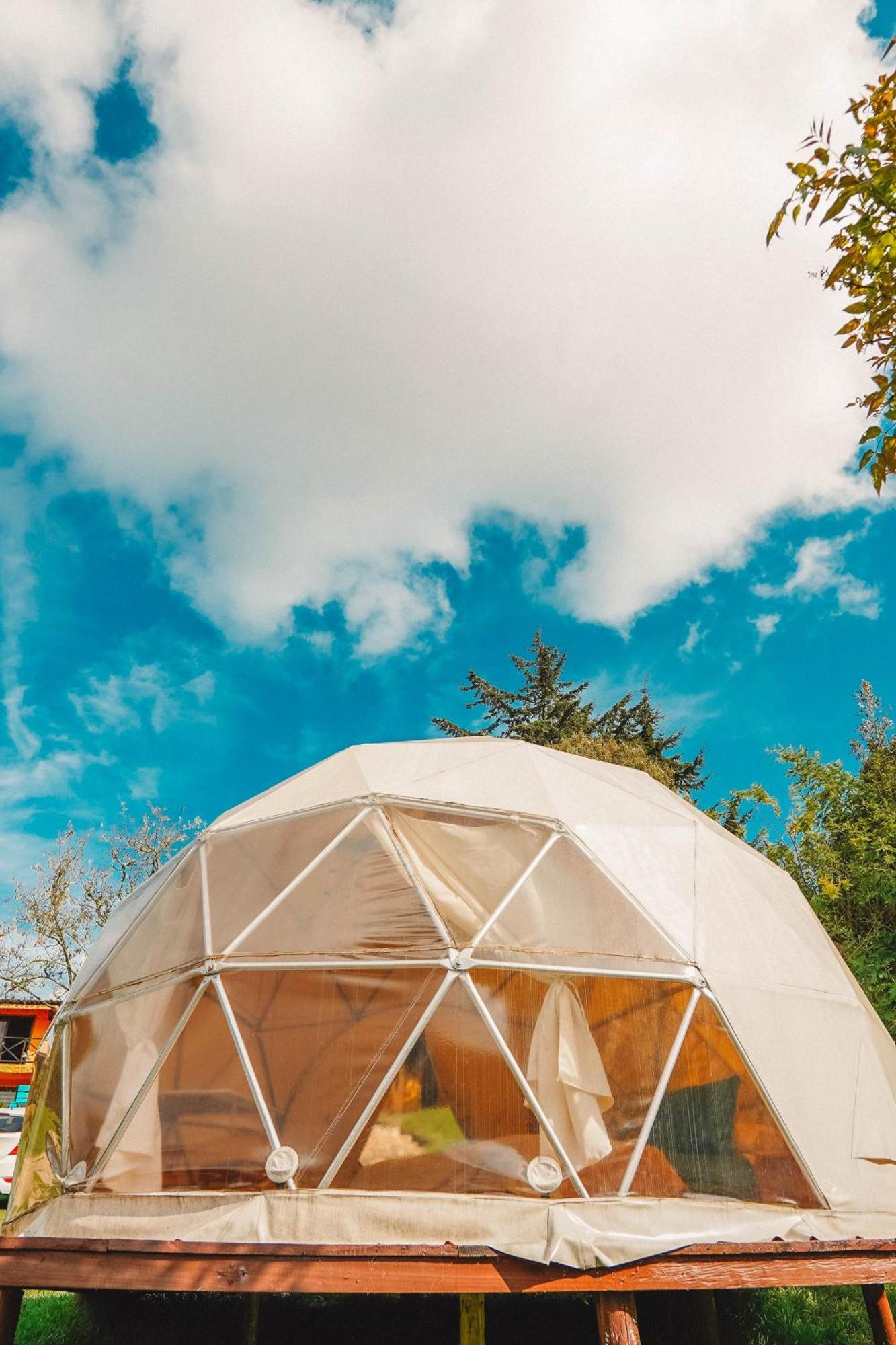 Alma De Campo Glamping - Laguna De Suesca Exterior foto
