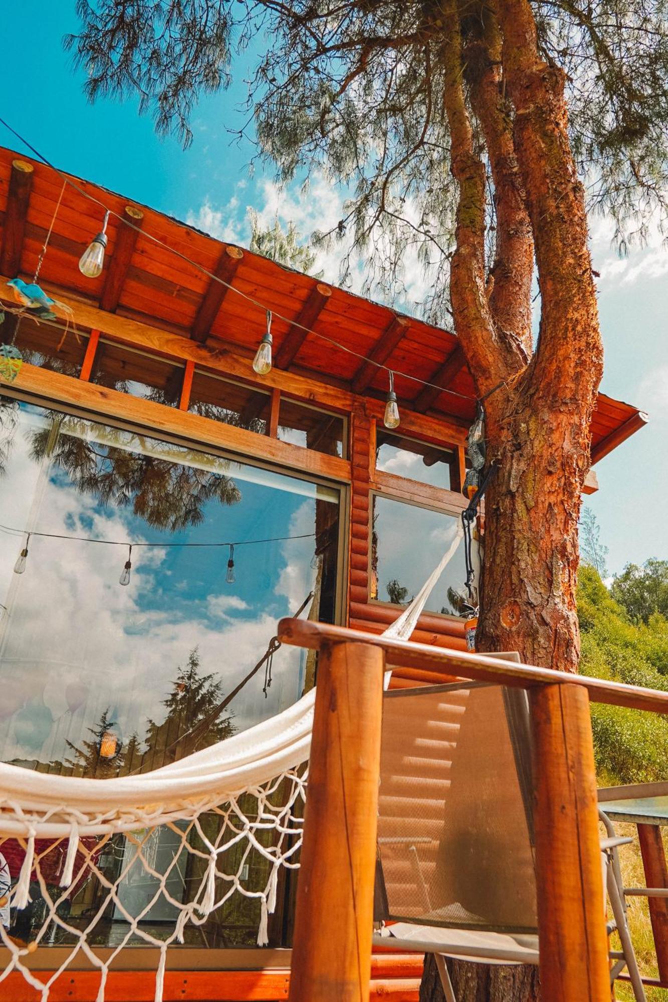 Alma De Campo Glamping - Laguna De Suesca Exterior foto